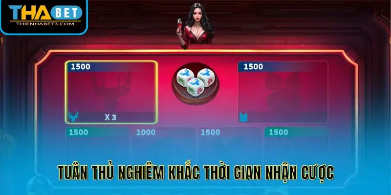 Tuân thủ nghiêm khắc thời gian nhận cược