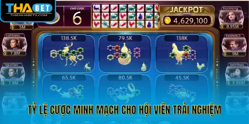 Tỷ lệ cược minh mạch cho hội viên trải nghiệm