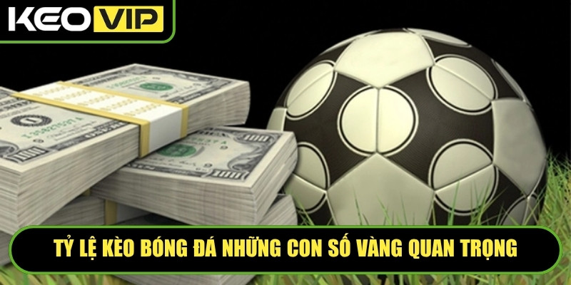 Tỷ lệ kèo